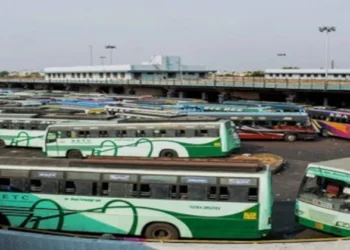 Tamil Nadu State Transport Buses (Representative Image)