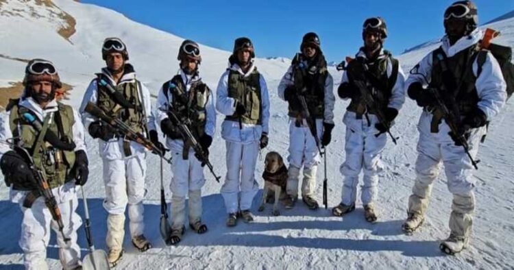 Army soldiers and canine teams showcase Avalanche rescue skills