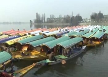 Shikaras decorated in colours of Indian flag give visual treat to people