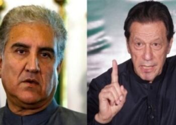 Pakistan's Foreign Minister Shah Mahmood Qureshi and former Pakistan Prime Minister Imran Khan