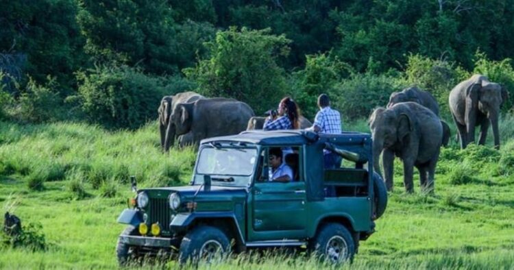 Assam's Kaziranga National Park records all-time high tourist footfall this season