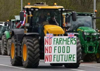 Tractor Rally in UK (Farmer Protest)
Image Source: (Euronews)