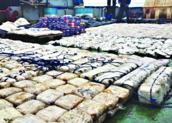 A view of the thatched shed at Mimisal Village in Pudukottai from where the customs seized Hashish and Ganja worth crores (Image Credit: Indian Express)