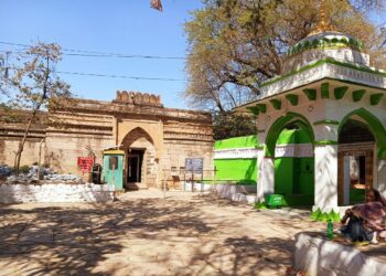 Bhojshala Maa Vaghdevi Mandir and Kamal Maula Mazar is set to undergo ASI survey (Image: Subhi Vishwakarma)