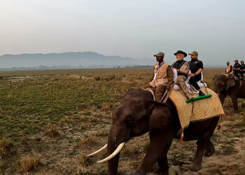 Assam, Mar 09 (ANI): Prime Minister Narendra Modi takes an elephant safari during his visit to Kaziranga National Park, in Assam on Saturday. (ANI Photo)