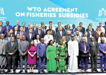 Delegates attending the 13th World Trade Organisation Ministerial Conference in Abu Dhabi