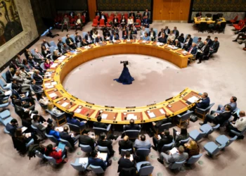 The United Nations Security Council (UNSC)