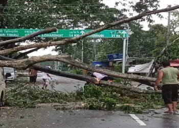 Cyclone Remal wrecks havoc in the North East