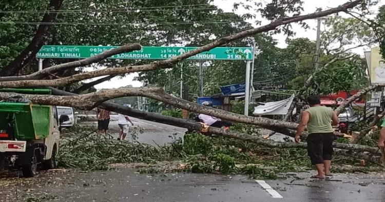 Cyclone Remal wrecks havoc in the North East