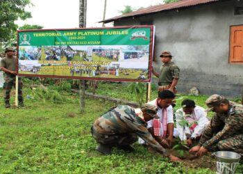 Tterritorial Army in Assam underatkes mass plantation drive