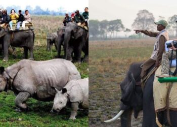 (Left) Tourists at the Kaziranga National Park (Right) Prime Minister Narendra Modi at the Kaziranga National park