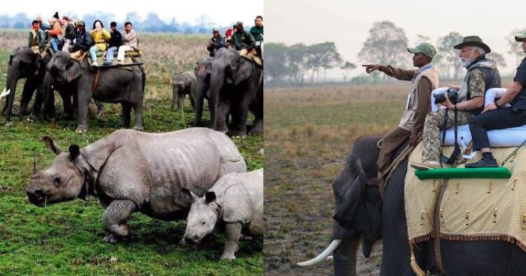 (Left) Tourists at the Kaziranga National Park (Right) Prime Minister Narendra Modi at the Kaziranga National park