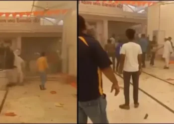 Screengrab from the viral video (Image Source: X)