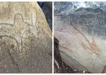 Rock carvings of neolithic period discovered in Goa