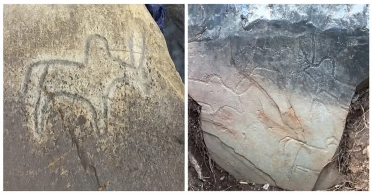 Rock carvings of neolithic period discovered in Goa