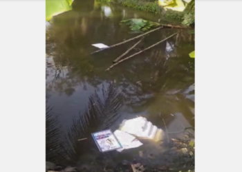 Election material thrown in a pond by some miscreants during the seventh and last phase of Lok Sabha elections, at Kultali in South 24 Parganas district, on June 1, 2024 | Photo Credit: PTI