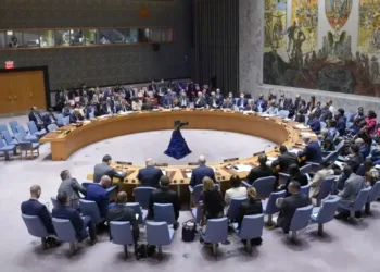 United Nations Security Council (UNSC)