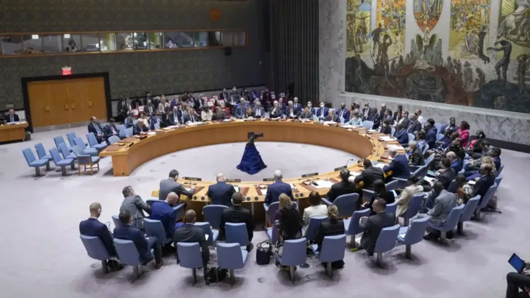 United Nations Security Council (UNSC)