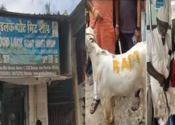 A goat with the name "Ram" inscribed in yellow on its skin was found at "Good Luck Mutton Shop" in Navi Mumbai