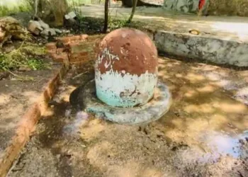 Shivling unearthed in Sargodha