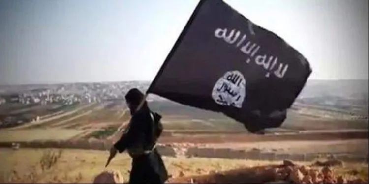 Man with an ISIS flag (A representative image)