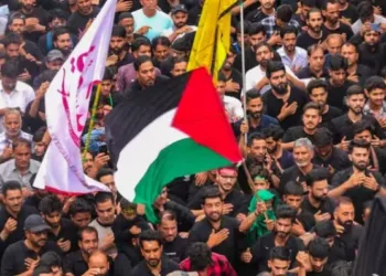 Mourners wave Palestine flags  during Muharram processions (Image Source: ABP News)