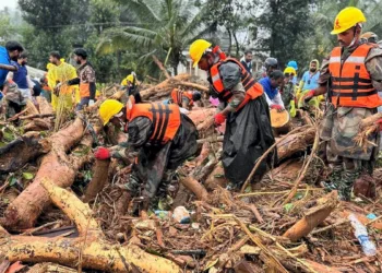 Visuals from the landslide-hit Wayanad (Image Source: Newsdrum)