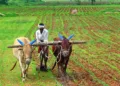 Centre to offer Rs 10,000 Crore incentives to states for land reform implementation