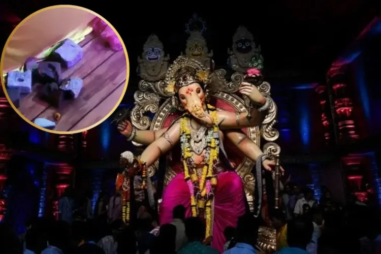 A representative image