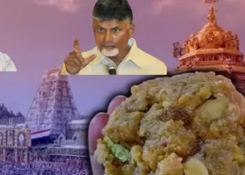 YV Subba Reddy, Andhra Pradesh CM, Chandrababu Naidu and Tirupati Mandir (Image Source: The Capital)