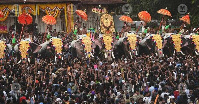 Kerala government misleads people on Thrissur Pooram disruption: RTI reveals no investigation conducted