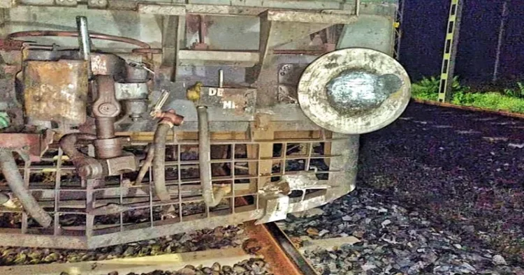 The engine of a loaded goods train stuck after an attempt was made to derail it by putting two cement blocks on tracks of the Western Dedicated Freight Corridor (Source: PTI)