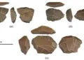 A sample of the tools from the Middle Stone Age site in Ratlepalle in Prakasam district of Andhra Pradesh