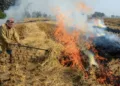 A representative image of stubble burning (Photo: X)