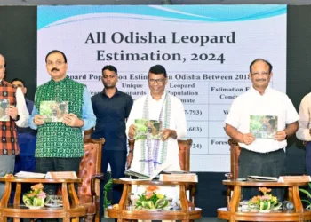 Leopard census report released in Odisha, shows surge in population