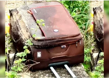 Decomposed body of a woman found in a suitcase