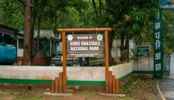 Guru Ghasidas National Park Chhattisgarh