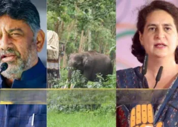 From Left to Right- Karnataka Deputy CM DK Shiva Kumar , Biodiversity Park, Congress leader Priyanka Gandhi