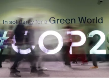 Representative Image of COP29