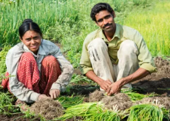 A male and a female farmer working in farmland