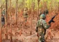 Armed security personnel in the jungles of Chhattisgarh