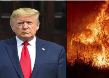 US President-Elect Donald Trump denounces officials for mishandling the fire that engulfed LA causing widespread devastation