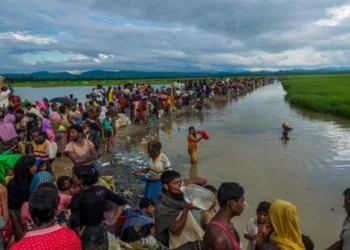 Large number of Rohingayas