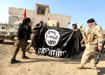 A representative image