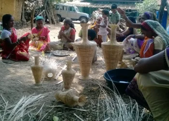 A representative image