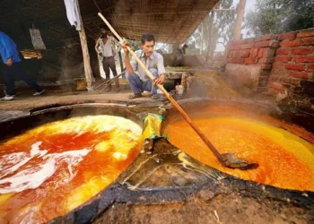 A representative image