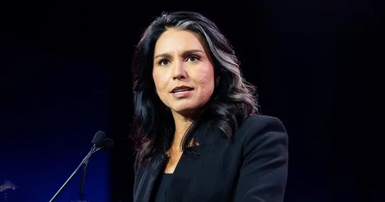 US Director of National Intelligence Tulsi Gabbard