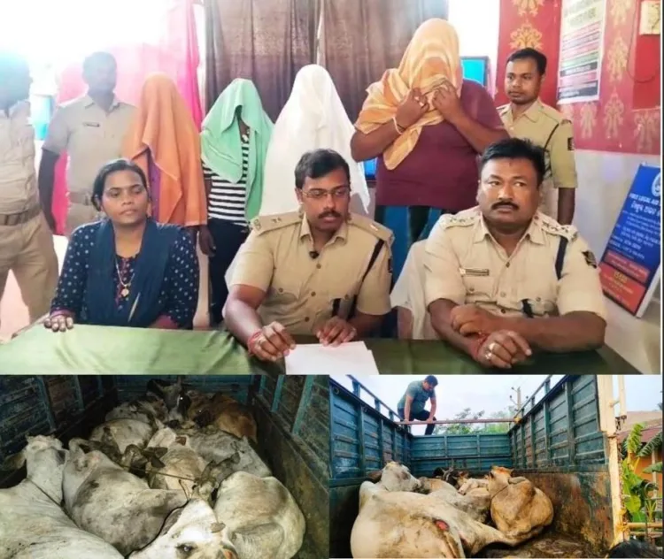 Bhadrak police rescued 30 cows that were being illegally transported for suspected slaughter and arrested four individuals involved in the operation