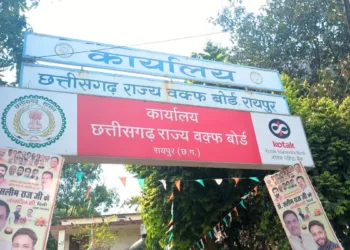 A representative image