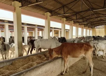 A representative image, courtesy: Swarajya